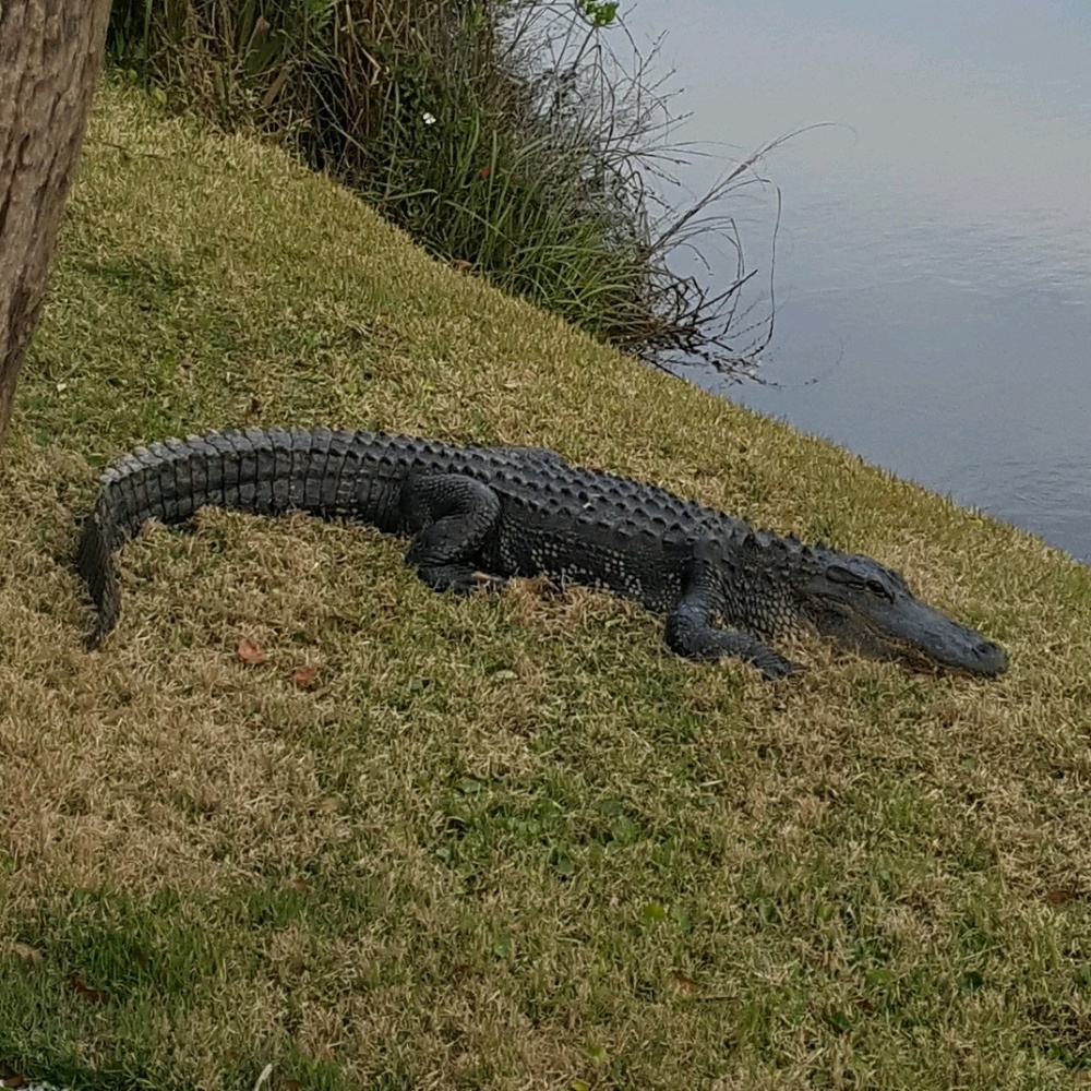 Meet your Posher, Linda